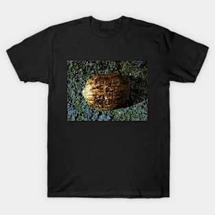 Golden Nut Shell T-Shirt